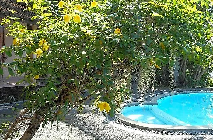 Tepi Sungai 2* バリ島